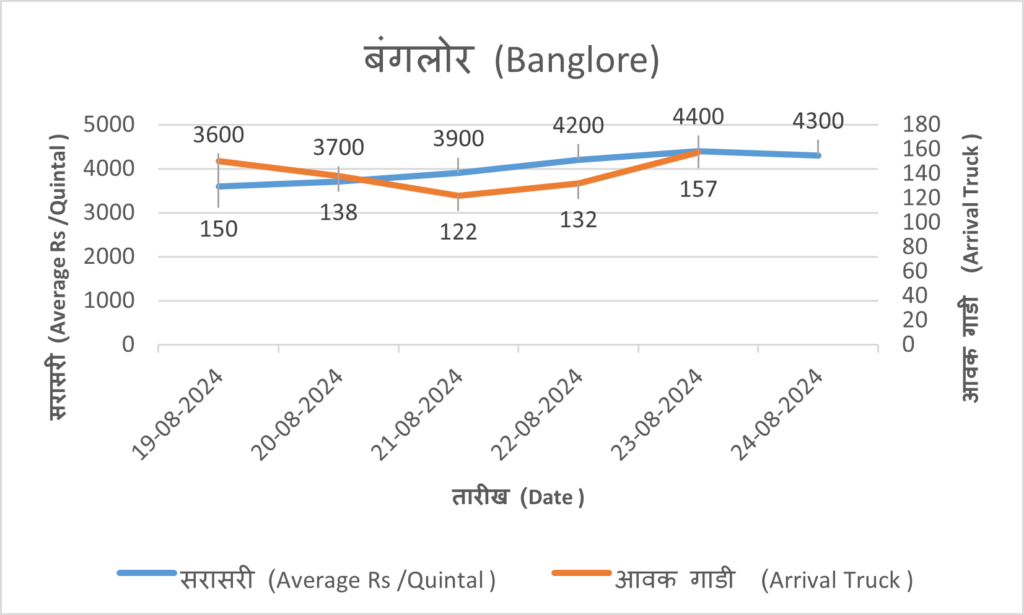 banglore_analysys