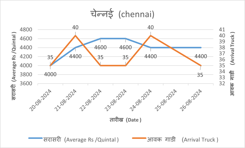 onion rate today chennai