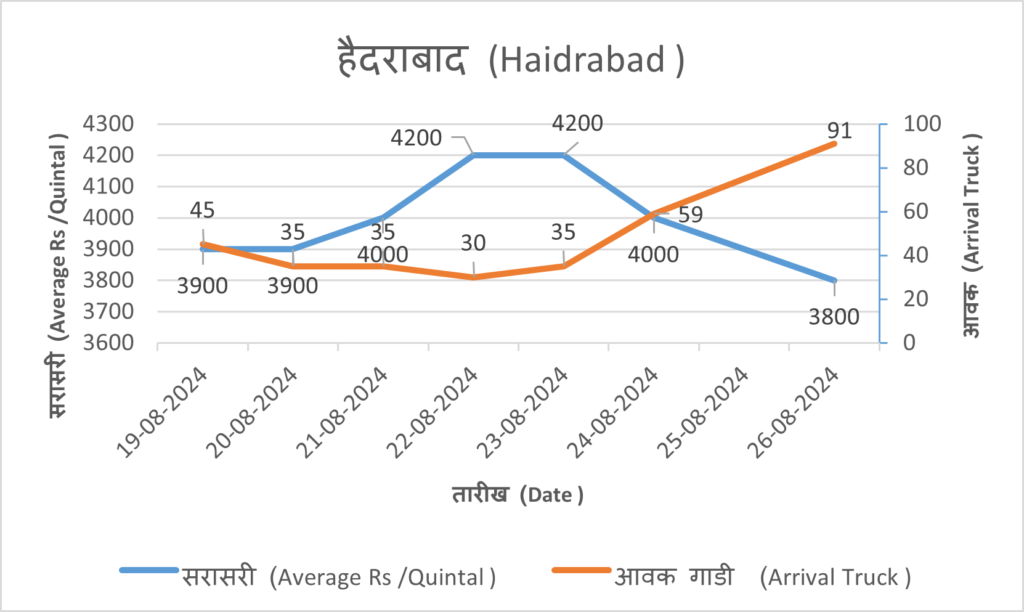 onion rate today hydrabad