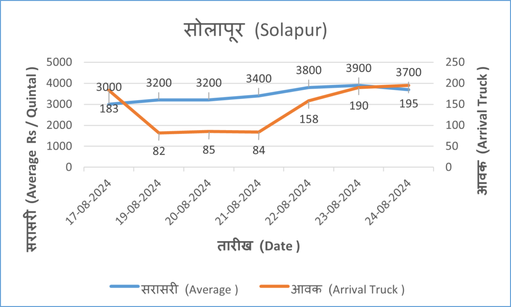 solapur_analysis