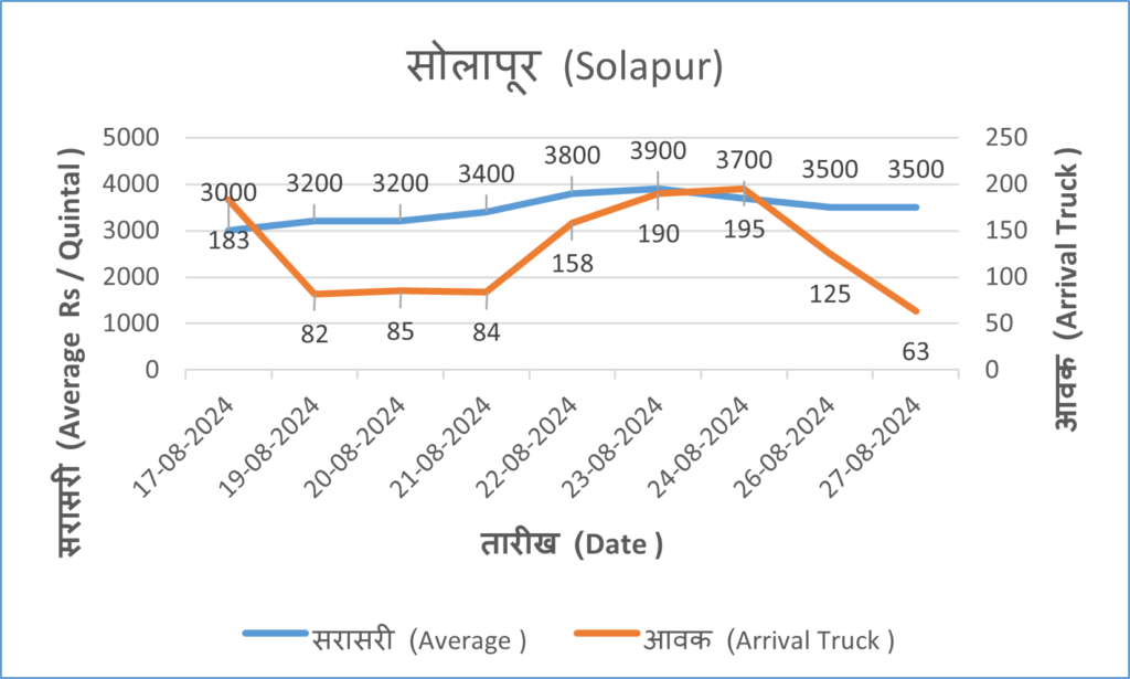 onion rate today solapur