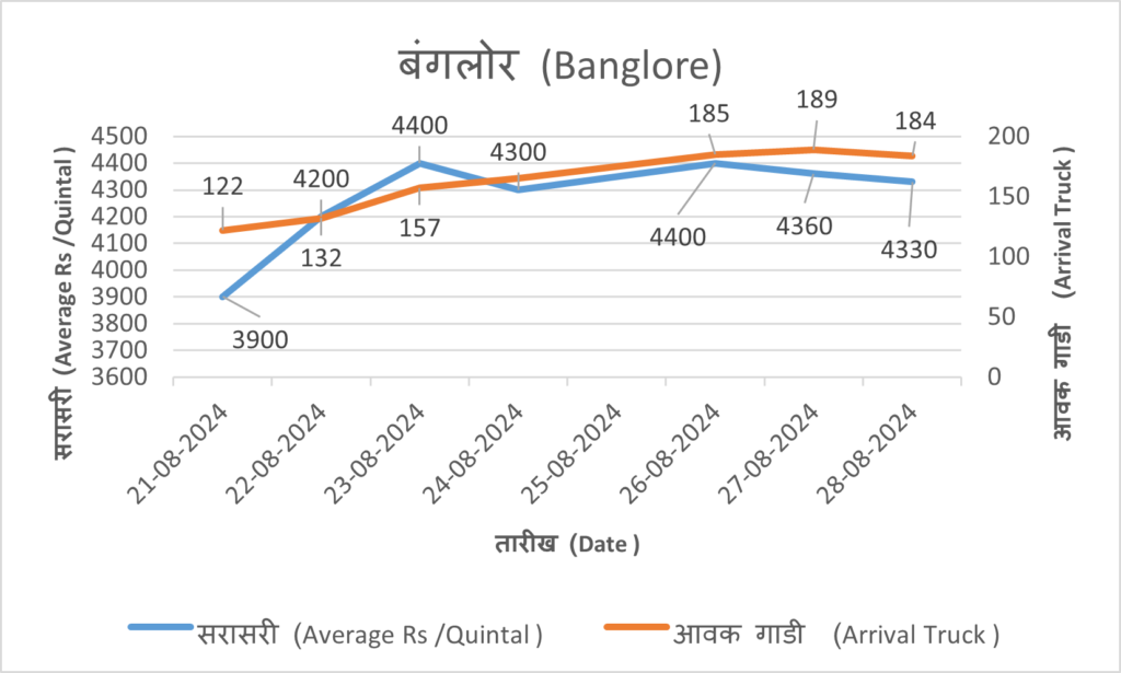 onion rate today banglore