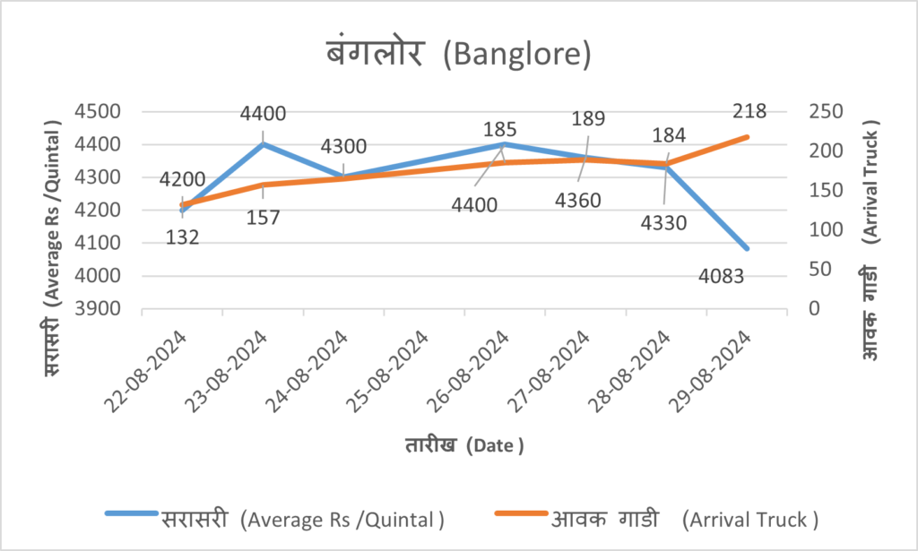 banglore onion market rate today