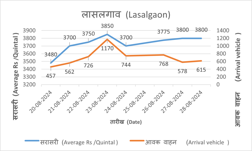 onion rate today