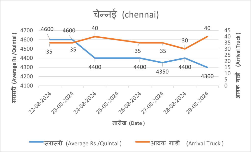 chennai onion market rate today