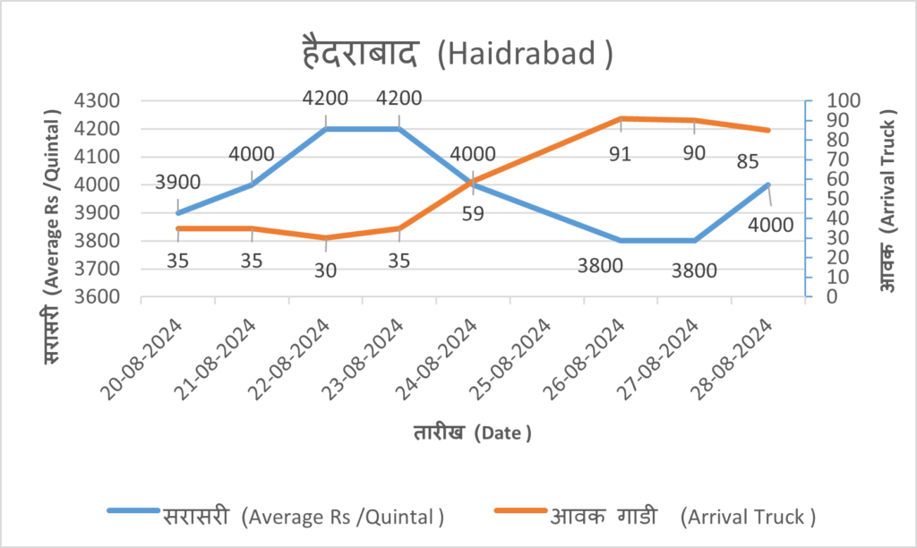 onion rate today hydrabad