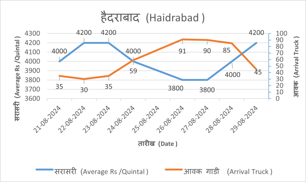 hydrabad onion market rate today