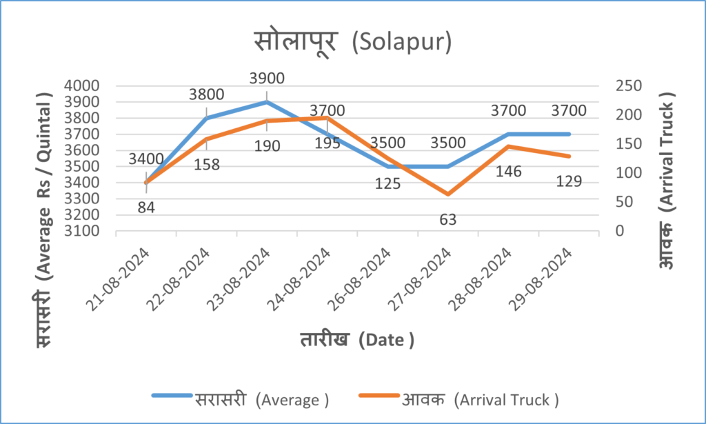 solapur onion market rate today