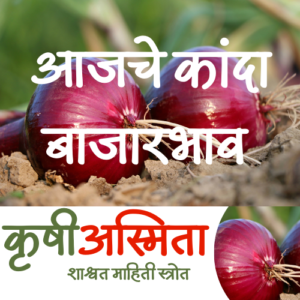 Read more about the article Onion Rate Today – महाराष्ट्र बाजारभाव- 06 September 2024